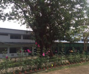 School Ex School Ex