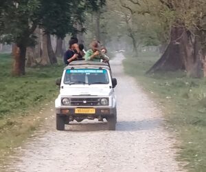 Class 12 School Excursion to Jaldapara Class 12 School Excursion to Jaldapara
